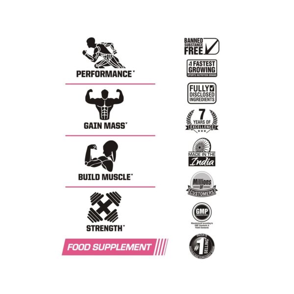 Bigmuscles Nutrition Test Up