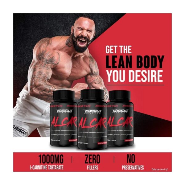 Bigmuscles Nutrition Alcar