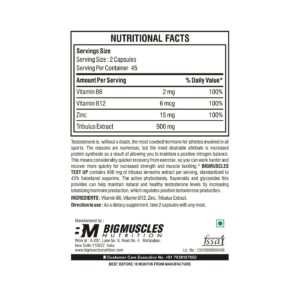 Bigmuscles Nutrition Test Up
