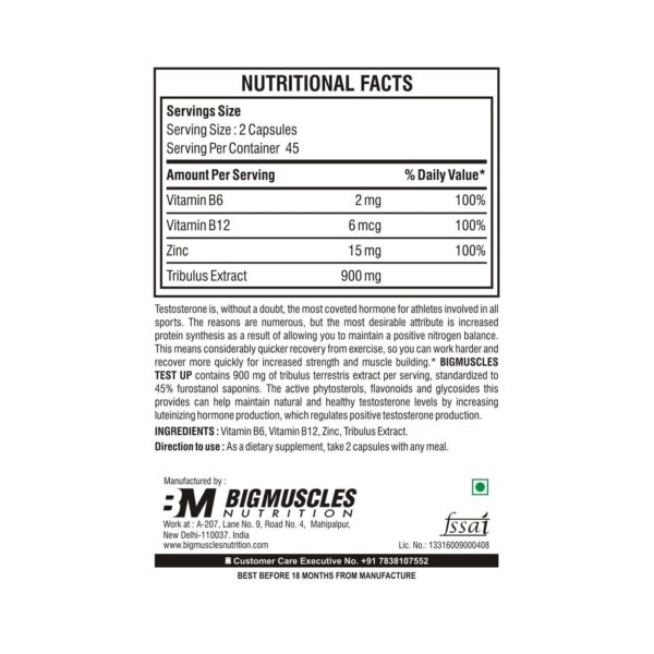 Bigmuscles Nutrition Test Up