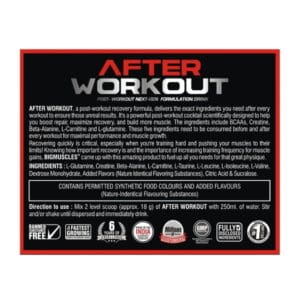 Bigmuscles Nutrition After Workout