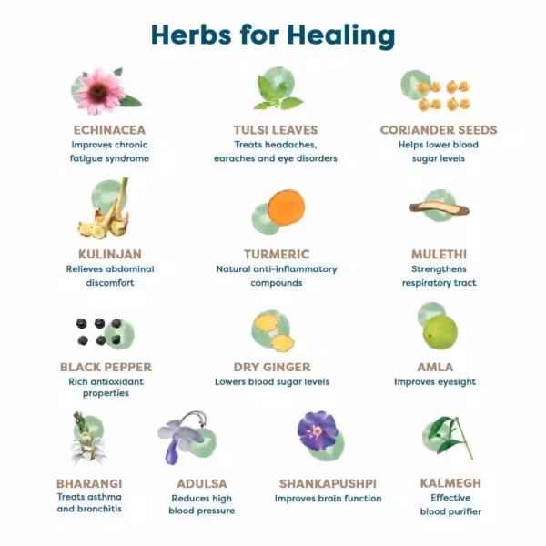 Herbs for Healing infographic listing 12 medicinal herbs and their specific health benefits