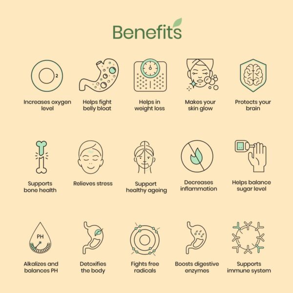 Wellbeing Nutrition Daily Greens