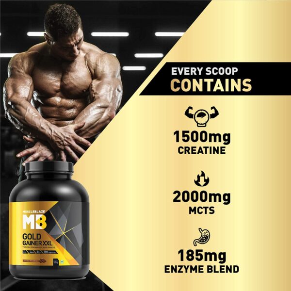 MuscleBlaze Gold Gainer XXL Mass Gainer