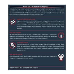 MuscleBlaze High Protein Gainer Lean Mass