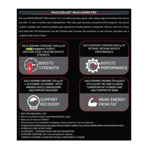 MuscleBlaze Mass Gainer PRO with Creapure