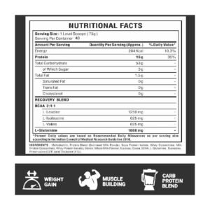 Bigmuscles Nutrition Real Mass Gainer