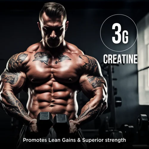 Bigmuscles Nutrition Body Fuel Hardcore - Image 9