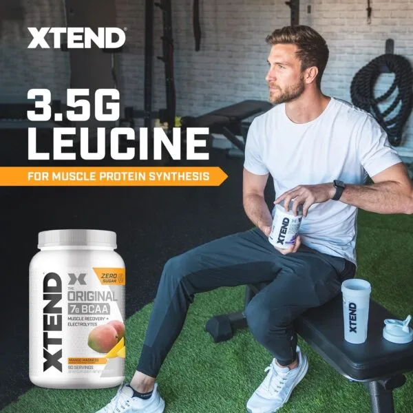 Scivation Xtend BCAA (Intra Workout Catalyst)
