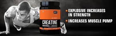 QNT Creatine monohydrate powder