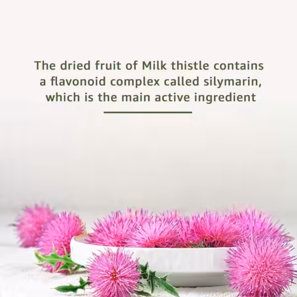 The dried fruit of Milk thistle contains a flavonoid complex called silymarin, which is the main active ingredient