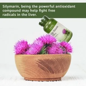 GNC Herbal Plus Milk Thistle