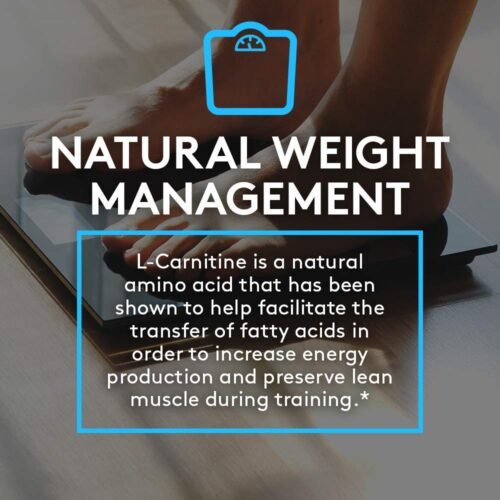 RSP L-Carnitine - Image 5