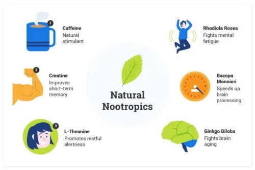 The Best Nootropics That Can Unleash Great Potential - An Article on the Best Smart Supplements