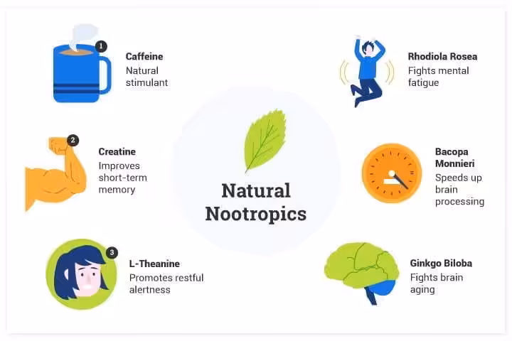 The Best Nootropics That Can Unleash Great Potential - An Article on the Best Smart Supplements