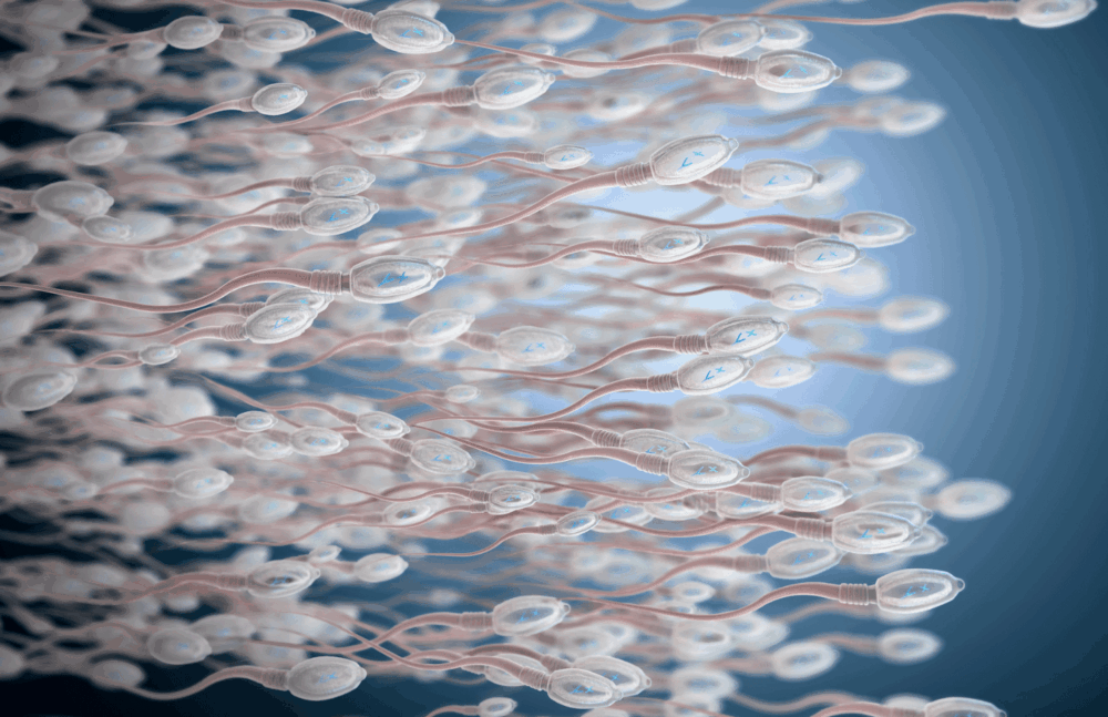 Does Zinc Make You Ejaculate More? How to Produce More Semen?