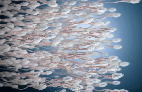 Does Zinc Make You Ejaculate More? How to Produce More Semen?