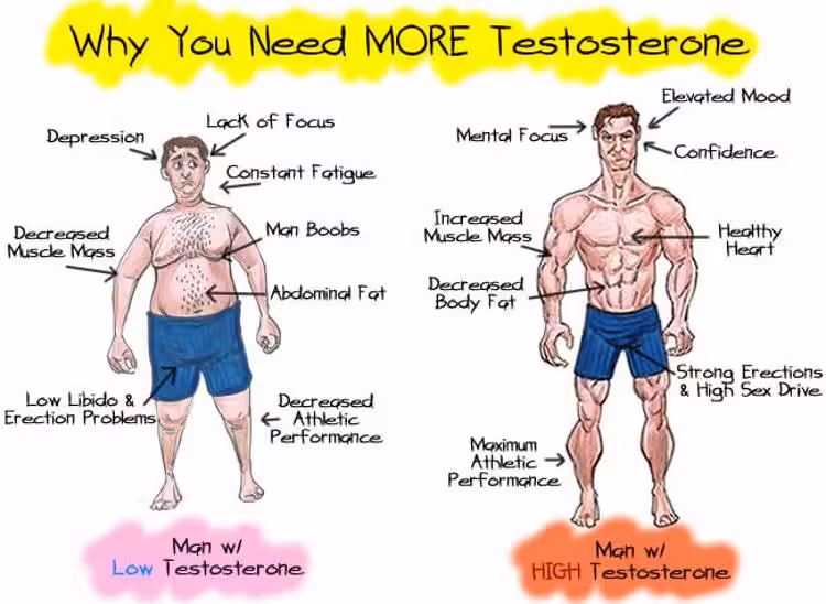 5 Proven Ways to Boost Your Testosterone Levels Naturally