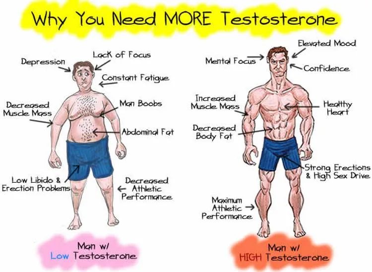 5 Proven Ways to Boost Your Testosterone Levels Naturally