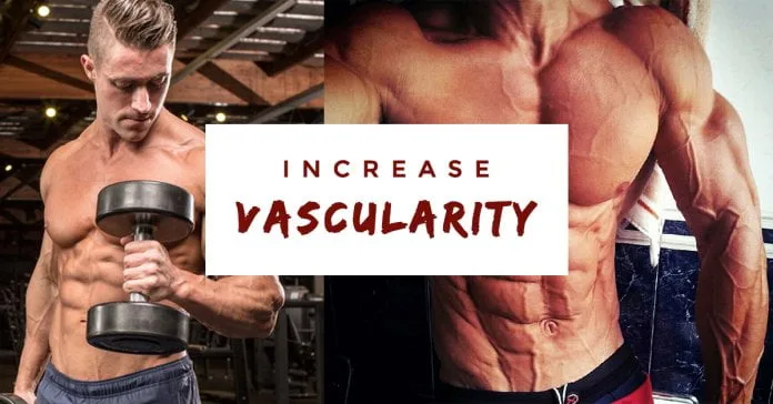 How to Increase Vascularity and Become a Muscular Freak