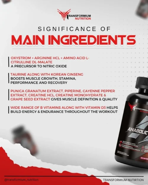 Transformium Nutrition Anabolic Veinz | Nitric Oxide Booster - Image 6