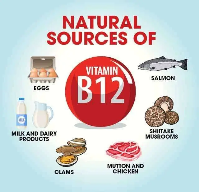 Foods with vitamin B12