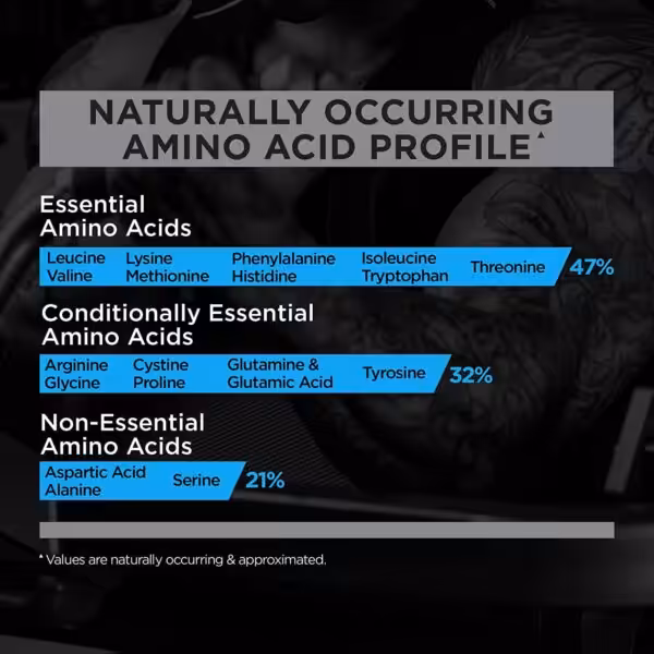 Rule 1 Whey Blend - product image