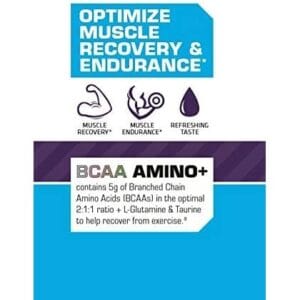 USN BCAA Amino+