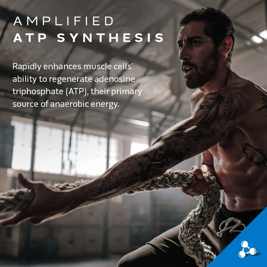 MuscleTech CellTech Creactor - Image 6