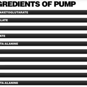 FA Core Pump Energizer