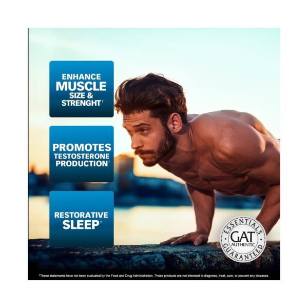 image of gat zmag-t supplement