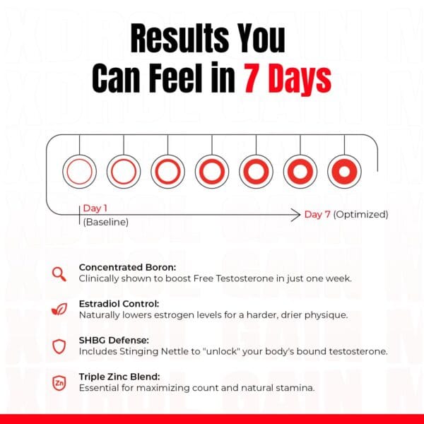 Transformium Nutrition X-Drol (GH & Testosterone Booster)