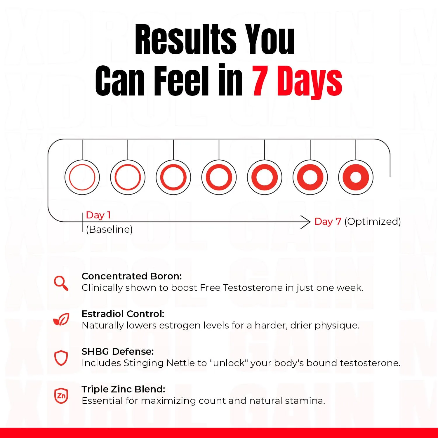 Results You Can Feel in 7 Days: a progression from Day 1 (Baseline) to Day 7 (Optimized) showing increasing testosterone optimization, powered by Concentrated Boron, Estradiol Control, SHBG Defense, and Triple Zinc Blend