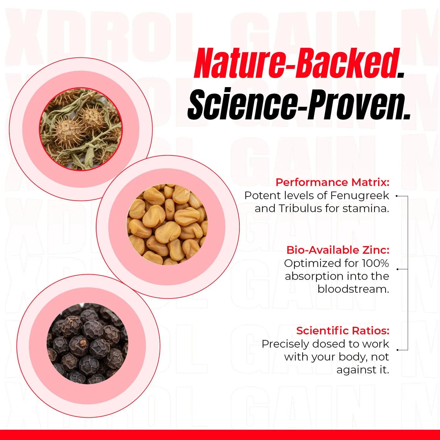 Nature-Backed. Science-Proven. infographic showing Tribulus, Fenugreek seeds, and black pepper with key ingredient benefits listed