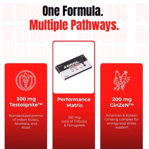 Xdrol Gain Max formula infographic showing three key ingredients: 300mg Testoignite, a 350mg Performance Matrix, and 200mg GinZeN