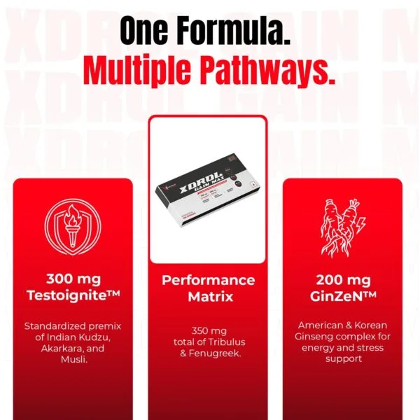 Xdrol Gain Max formula infographic showing three key ingredients: 300mg Testoignite, a 350mg Performance Matrix, and 200mg GinZeN
