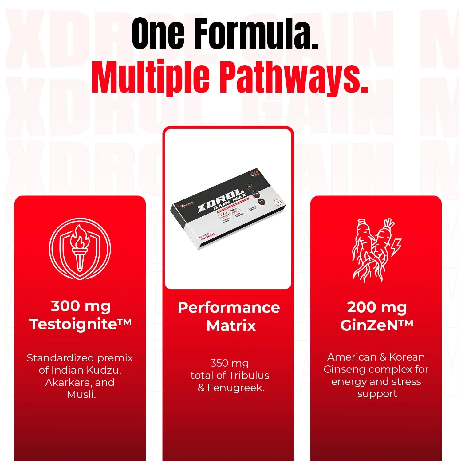 Xdrol Gain Max formula infographic showing three key ingredients: 300mg Testoignite, a 350mg Performance Matrix, and 200mg GinZeN