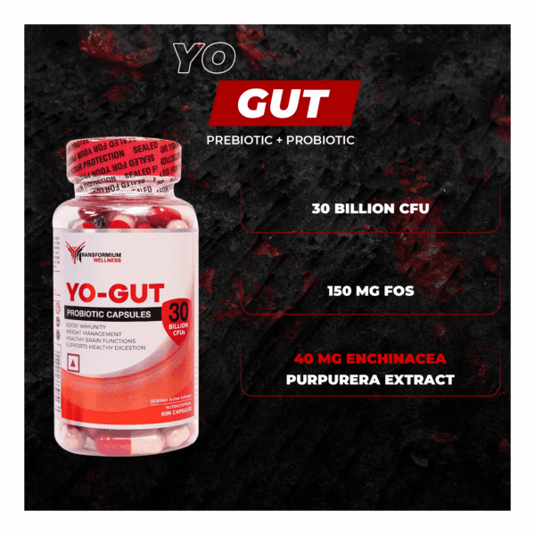 image of Transformium Nutrition Yo Gut supplement