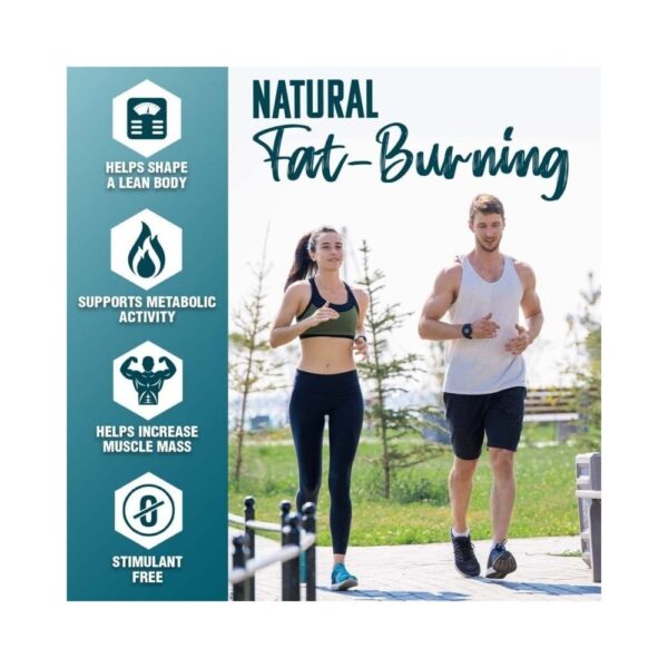 Nutrex Research LIPO-6 CLA