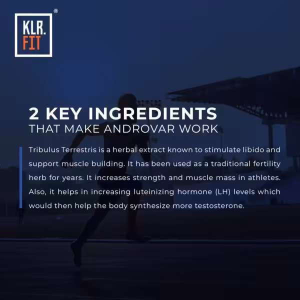 KLR.FIT Androvar - product image