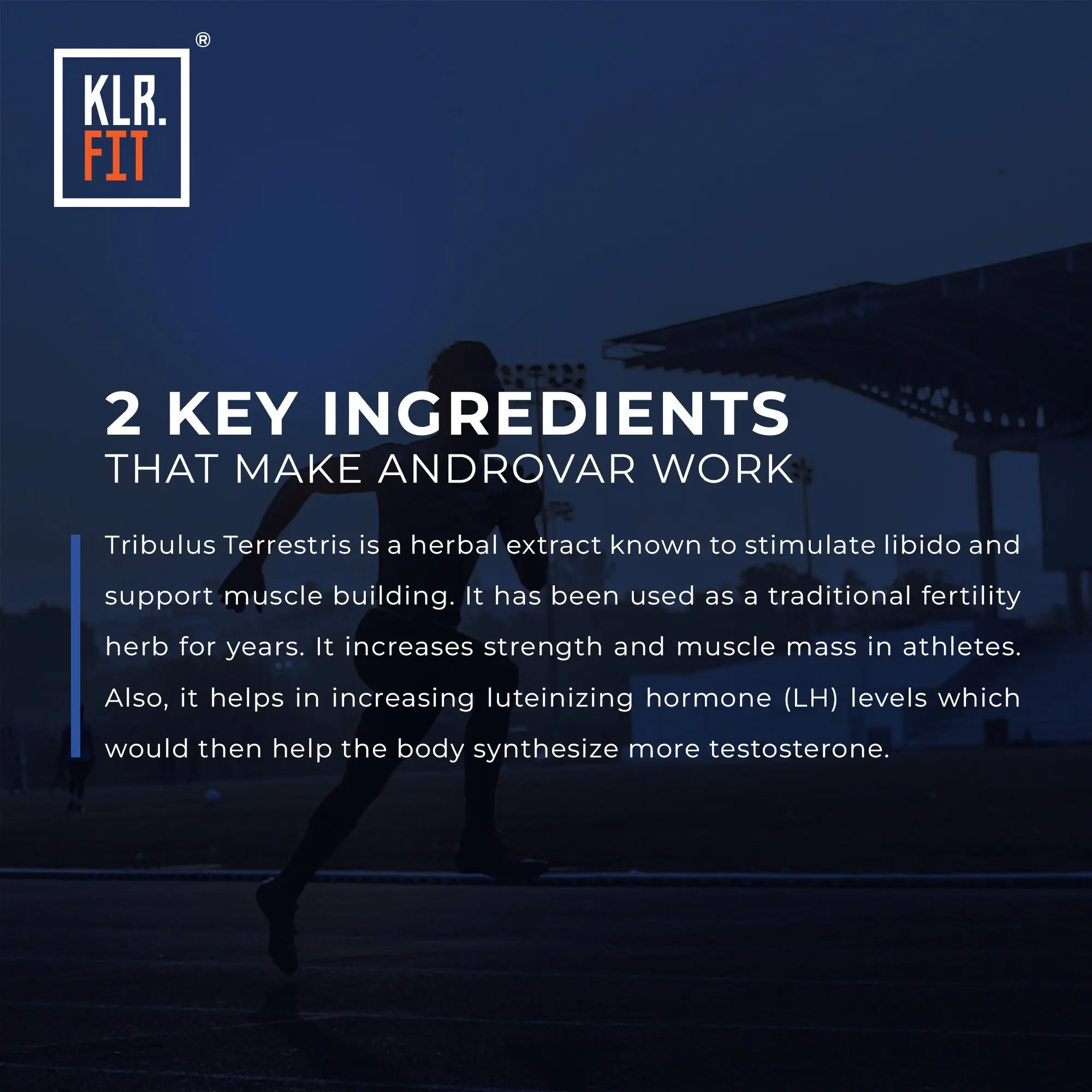 KLR.FIT Androvar - Image 4