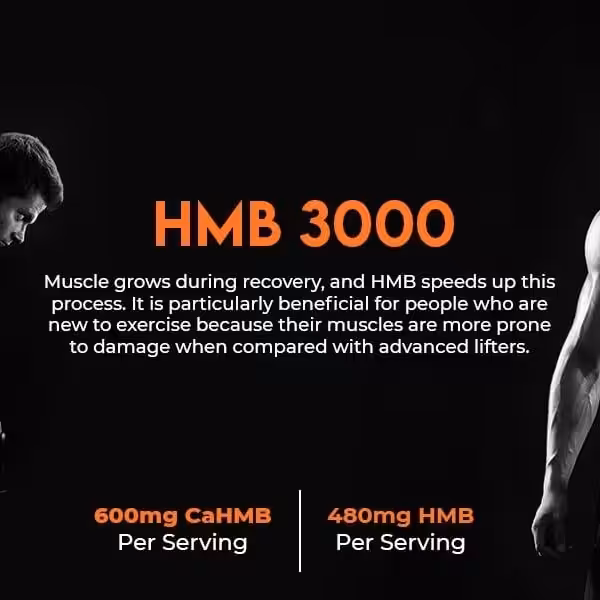 KLR.FIT HMB 3000 - product image