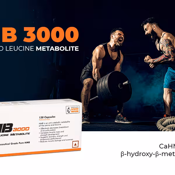 KLR.FIT HMB 3000 - product image