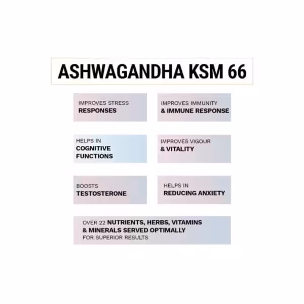 Divine Nutrition Ashwagandha - product image