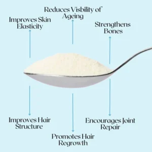 Wellbeing Nutrition Pure Korean Marine Collagen