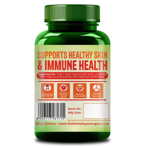 Himalayan Organics Vitamin C 1000mg Tablets from Natural Fruits – Immunity, Antioxidant & Skin Care