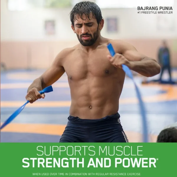 Optimum Nutrition Micronized Creatine Monohydrate Powder