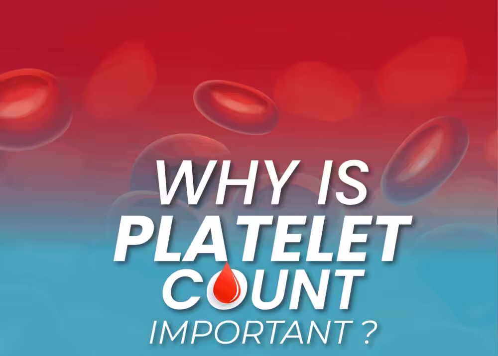Unlock the Power of Platelets: Supercharge Your Blood with TheseNutrient-Rich Foods!