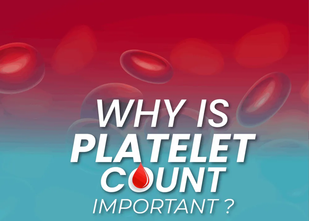 Unlock the Power of Platelets: Supercharge Your Blood with TheseNutrient-Rich Foods!