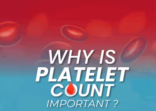 Unlock the Power of Platelets: Supercharge Your Blood with TheseNutrient-Rich Foods!